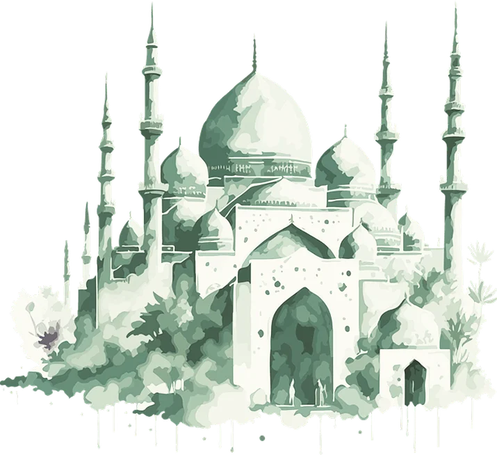 Baseera Academy - Learn Quran and Arabic Online
